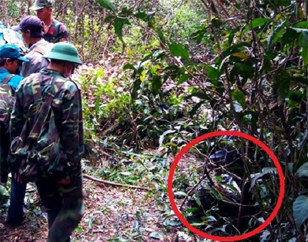 Vụ máy bay rơi ở Vũng Tàu: Chưa xác định được nguyên nhân 