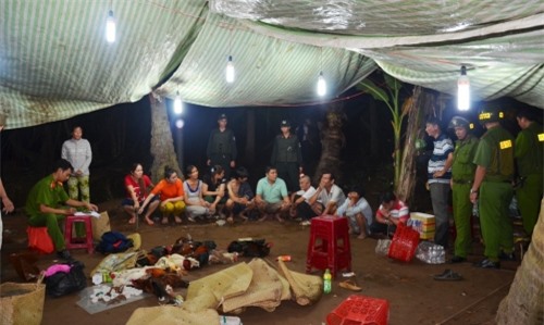 Triệt phá ổ đá gà chuyên tổ chức xuyên đêm