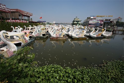 Hà Nội tạm dừng hoạt động bến thủy hồ Tây