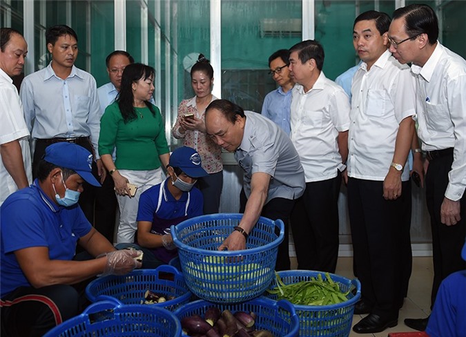 TP. HCM phải là địa phương đi đầu quản lý, bảo đảm an toàn thực phẩm