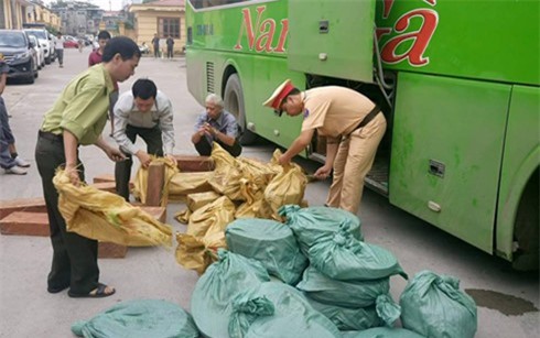 Dừng đỗ sai quy định, kiểm tra phát hiện xe khách chở gỗ lậu