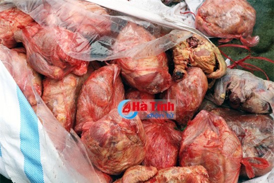 Kinh hoàng gần 2 tạ thịt gà hôi thối đang được mang đi tiêu thụ