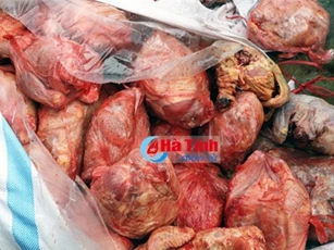 Kinh hoàng gần 2 tạ thịt gà hôi thối đang được mang đi tiêu thụ