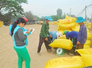 Thị trường lúa gạo trong nước diễn biến trái chiều