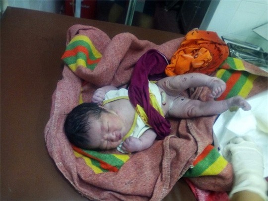 Xót thương bé gái sơ sinh bị bỏ rơi trong vườn cao su