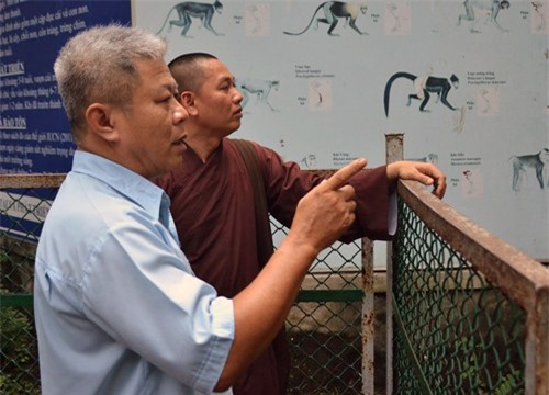 Sư thầy miền Tây lên Sài Gòn xin nhận lại chim khổng tước