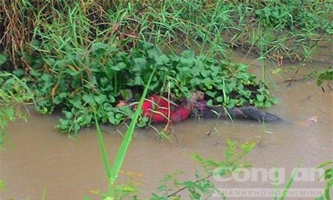 Tá hỏa phát hiện thi thể đang phân huỷ nổi lềnh bềnh