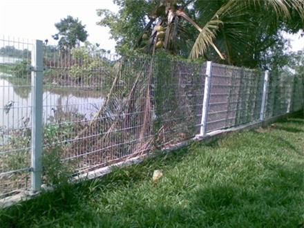 Bé trai 11 tuổi tử vong vì vướng vào hàng rào chống trộm của cha