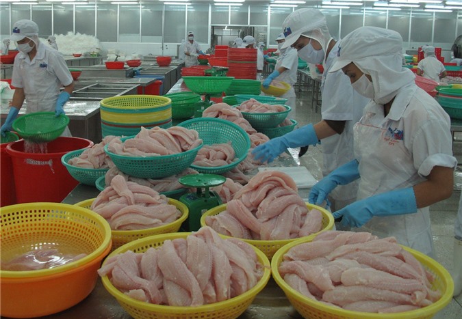 Brazil ngưng nhập khẩu cá tra của một công ty Việt Nam