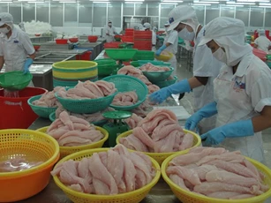 Brazil ngưng nhập khẩu cá tra của một công ty Việt Nam
