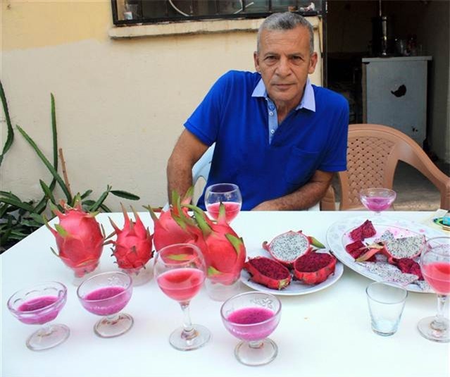 Thanh long Việt Nam được trồng thành công trên đất Thổ Nhĩ Kỳ