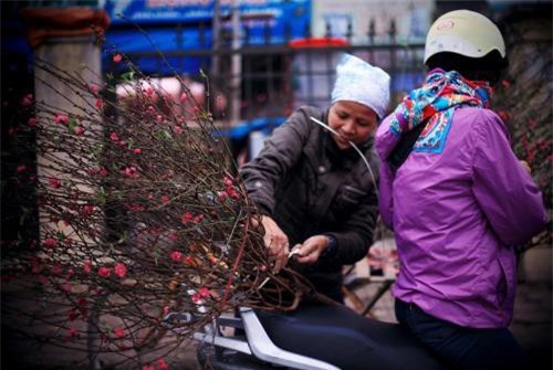 Đại biểu Quốc hội ủng hộ phương án nghỉ Tết Nguyên đán 7 ngày