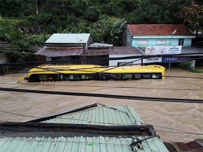 Doanh nhân bị lũ cuốn trôi phải đu thân tre suốt 10 giờ ở Phú Yên