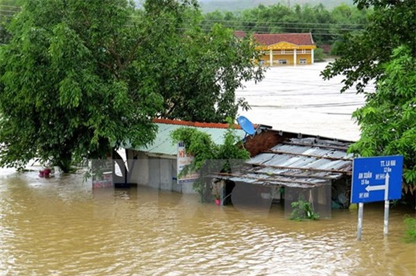 Lũ lụt miền Trung: Quảng Bình ngừa dịch bệnh cho vật nuôi sau lũ