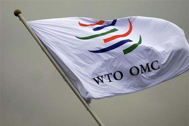 Nhập khẩu của Việt Nam tăng 2,5 lần từ khi gia nhập WTO