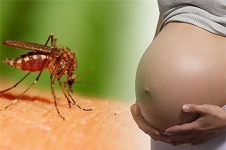 Zika nguy cơ bùng phát dịch lớn, người dân vẫn thờ ơ