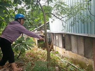 Hà Nội: Người dân "kêu trời" vì nước thải của Công ty giấy Hưng Hà