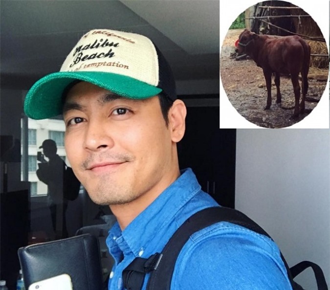 MC Phan Anh mua 1.000 bò giống giúp đỡ đồng bào miền Trung