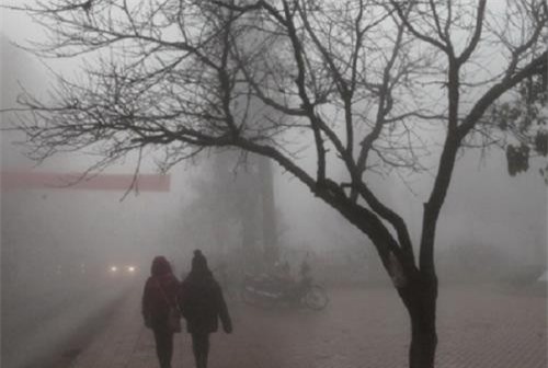 Nhiệt độ Sapa chạm mức rét hại thấp nhất 6 độ C