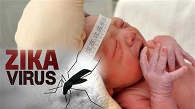 Tin mới nhất về dịch bệnh virus Zika 