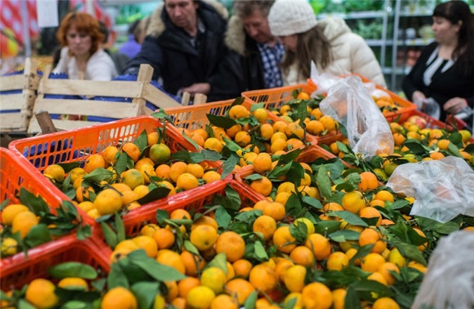 Nga và Syria hợp tác xuất khẩu trái cây