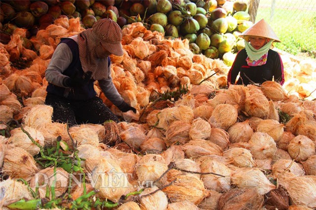"Phù phép" vỏ dừa phế thải thành sản phẩm độc đáo thu tiền triệu