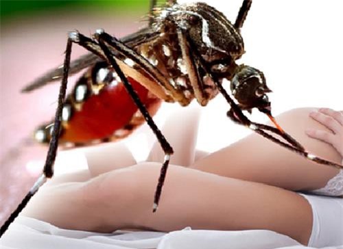 Xuất hiện ca nhiễm virus Zika do quan hệ tình dục