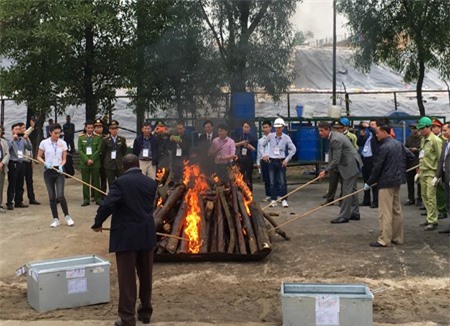 Cộng đồng ủng hộ tiêu hủy hơn 2 tấn ngà voi và 70 kg sừng tê giác