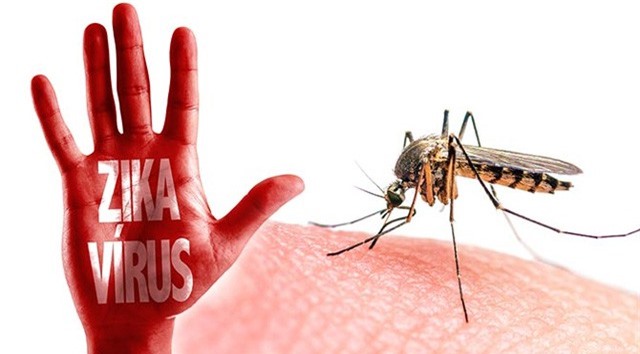 Zika nguy cơ bùng phát diện rộng, lại thêm 3 trường hợp nhiễm bệnh