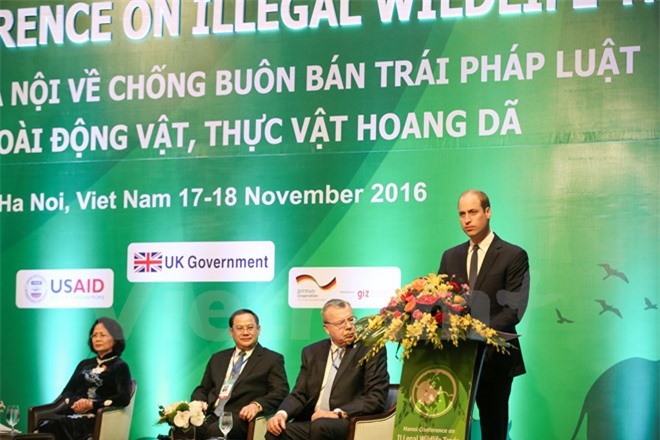 Hoàng tử Anh William kêu gọi mọi người "nói không với sừng tê giác"