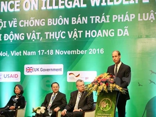 Hoàng tử Anh William kêu gọi mọi người "nói không với sừng tê giác"