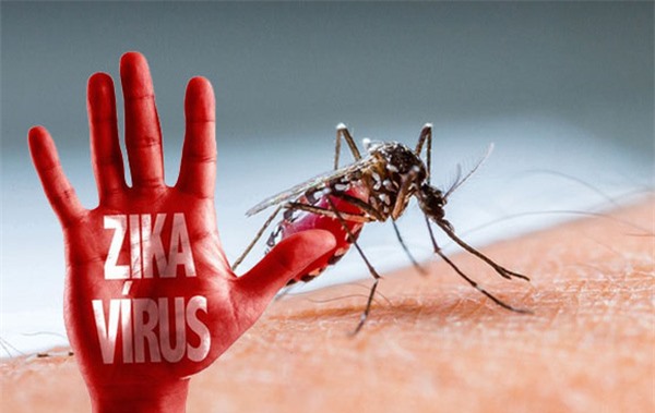 Cảnh báo: Lại thêm 8 ca nhiễm virus Zika ở TP.HCM