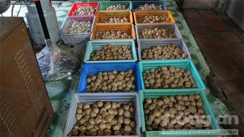 Kinh hoàng công nghệ chế biến bò viên từ thịt thối