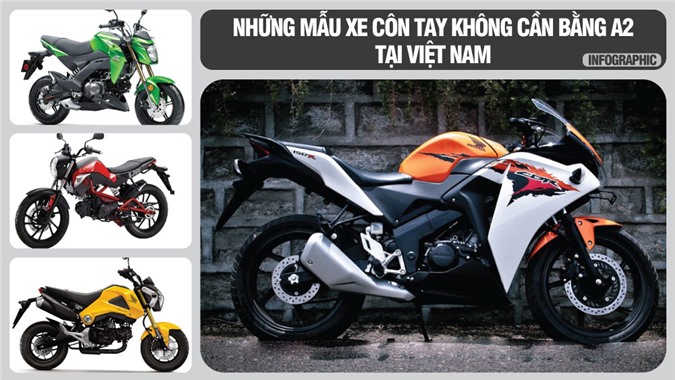 [Infographic] 10 lựa chọn xe côn tay không cần bằng A2 tại Việt Nam