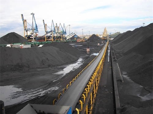 Đề xuất cho Vedan Việt Nam được tự nhập than