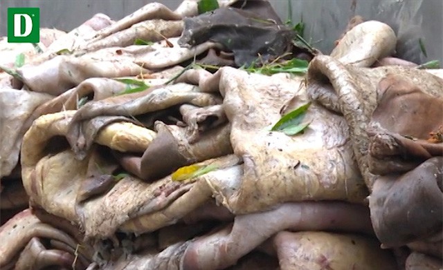 Phát hiện hơn 3 tấn da, mỡ bò bẩn tuồn ra Hà Nội để tiêu thụ