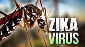TP.HCM: Đã có 74 trường hợp nhiễm Zika
