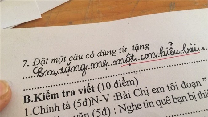 Giáo viên đứng hình khi thấy học sinh đặt câu "Em tặng mẹ một con hiểu bài"