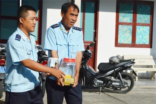 Vận chuyển trái phép gần 18kg vàng: Vụ án bị khởi tố