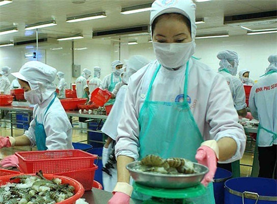 Xuất khẩu tôm Việt Nam sang Mỹ, Trung Quốc bất ngờ sụt giảm