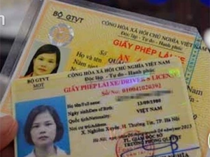 Giấy phép lái xe còn hạn sử dụng có cần đổi sang thẻ PET?