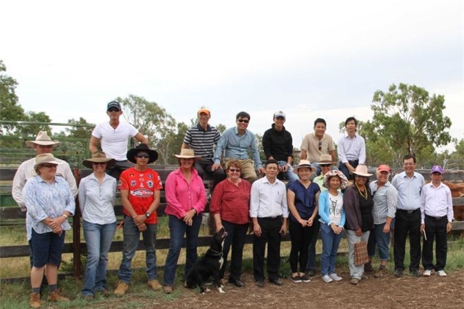 Việt Nam học cách nuôi bò của Úc