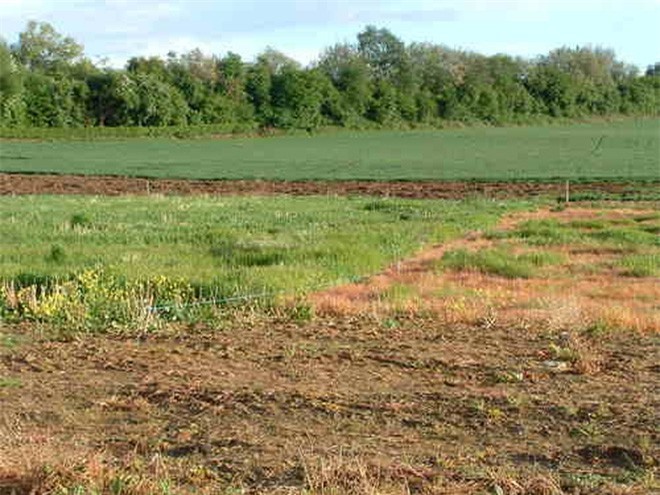 Thủ tướng yêu cầu xử lý vụ bán đất trái thẩm quyền ở Nam Định