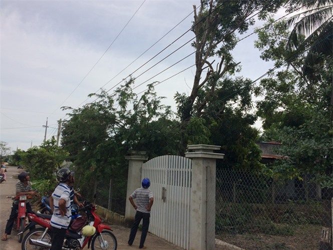 Tỉa cây gần hành lang điện cao thế, thanh niên tử vong