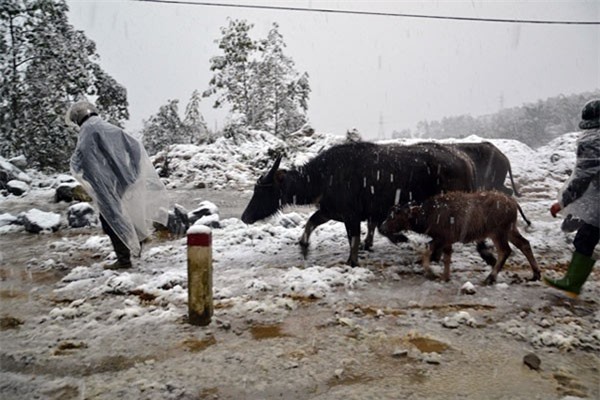 Không khí lạnh tăng cường, Bắc Bộ rét đậm có nơi 6 độ C