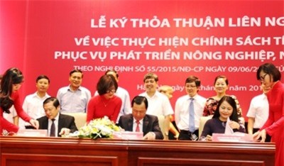 Agribank: Nhiều hoạt động thúc đẩy phát triển chuỗi giá trị, tái cơ cấu nông nghiệp