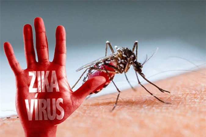 103 ca nhiễm virus Zika tại TP.HCM, trong đó có 13 thai phụ