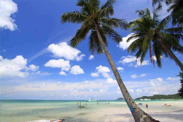 Chính phủ thống nhất xây dựng 3 đặc khu kinh tế