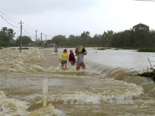 Mưa lũ miền Trung: Lũ sông Quảng Ngãi, Bình Định đang xuống