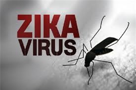 Đã có 114 ca nhiễm virus Zika tại TP.HCM